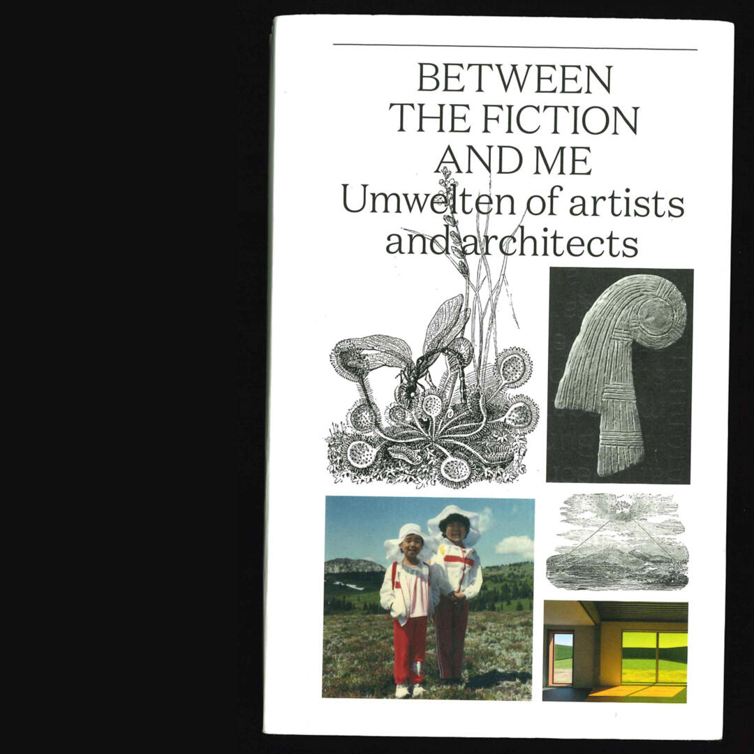 Cover of Between the Fiction and Me